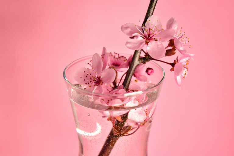 Cherry Blossom Sake Spritz